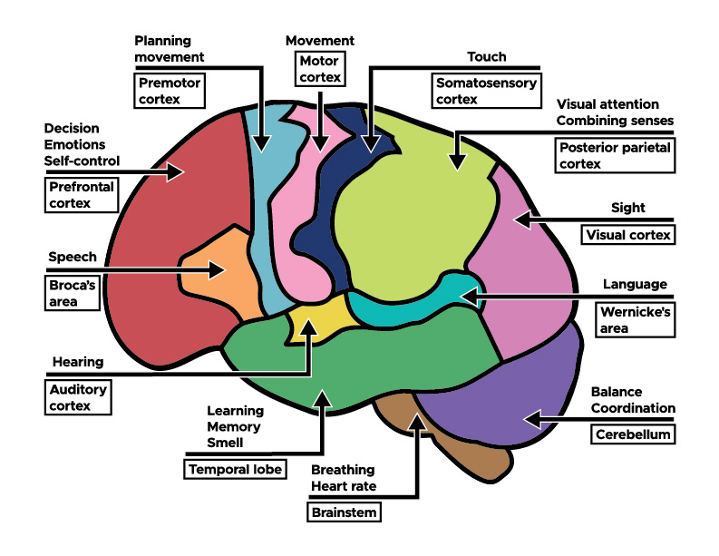 Brain Puzzle Answer Key.