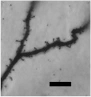 Figure 2. Description in caption.