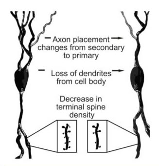 Figure 4. Description in caption.