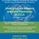 Call for undergraduate research papers