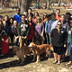 Neuroscience Clubs to Host Research Forum