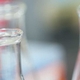 Nunez Hopes Nobel For Medicine Advances Circadian Rhythm Inquiry